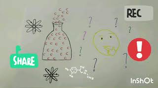 Trabalho sobre a importância da química orgânica