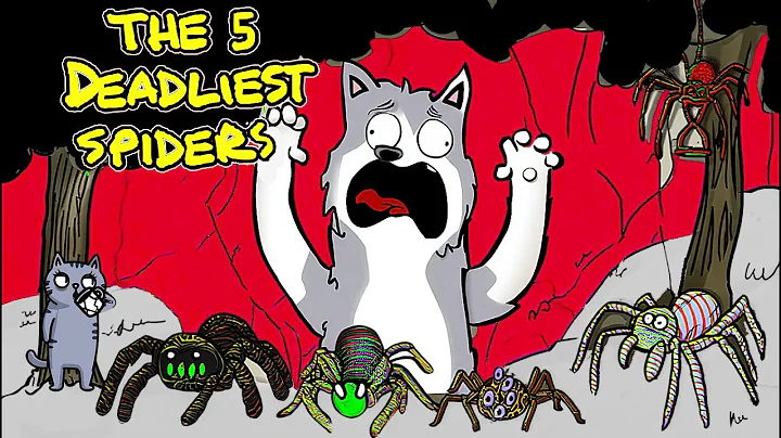 What It's Like To Fight The World's Deadliest Spiders!?