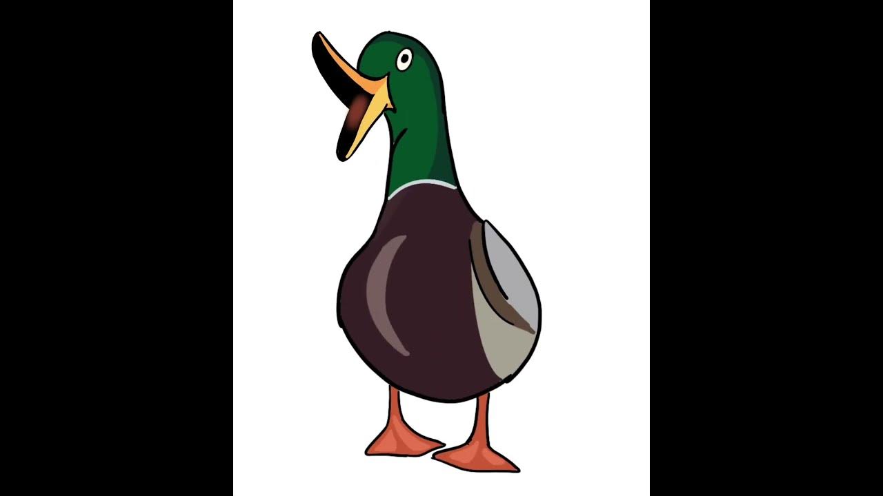 A Duck goes quack. #shorts #animation #ducks - YouTube