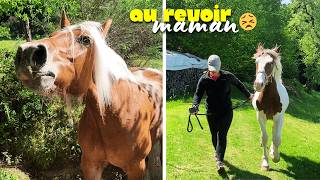 LILI EST TOMBÉE MALADE *plus le choix*