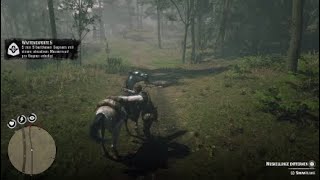 Red Dead Redemption 2 Waffenexperte 5 Herausforderung