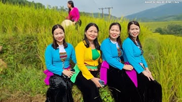 Ruộng bậc thang xã Miền Đồi huyện Lạc Sơn tỉnh Hòa Bình