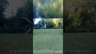 #shorts #hyperhook #mini #tutorial #class #cartwheel #tricking