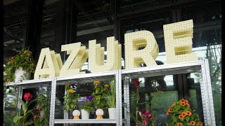 Scenes from the 2023 AZ Awards Gala