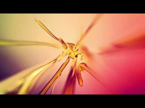 Jonni Gil,Addam-Telling Myself Lies