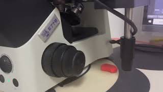 How Shilegeyan Inverted Microscope Reduces Cell Contamination in Long-Term Experiments