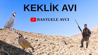 2025-2026 Keklik Avı Partridge Hunting Охота На Куропатку شکار کبک Rebhuhnjagd