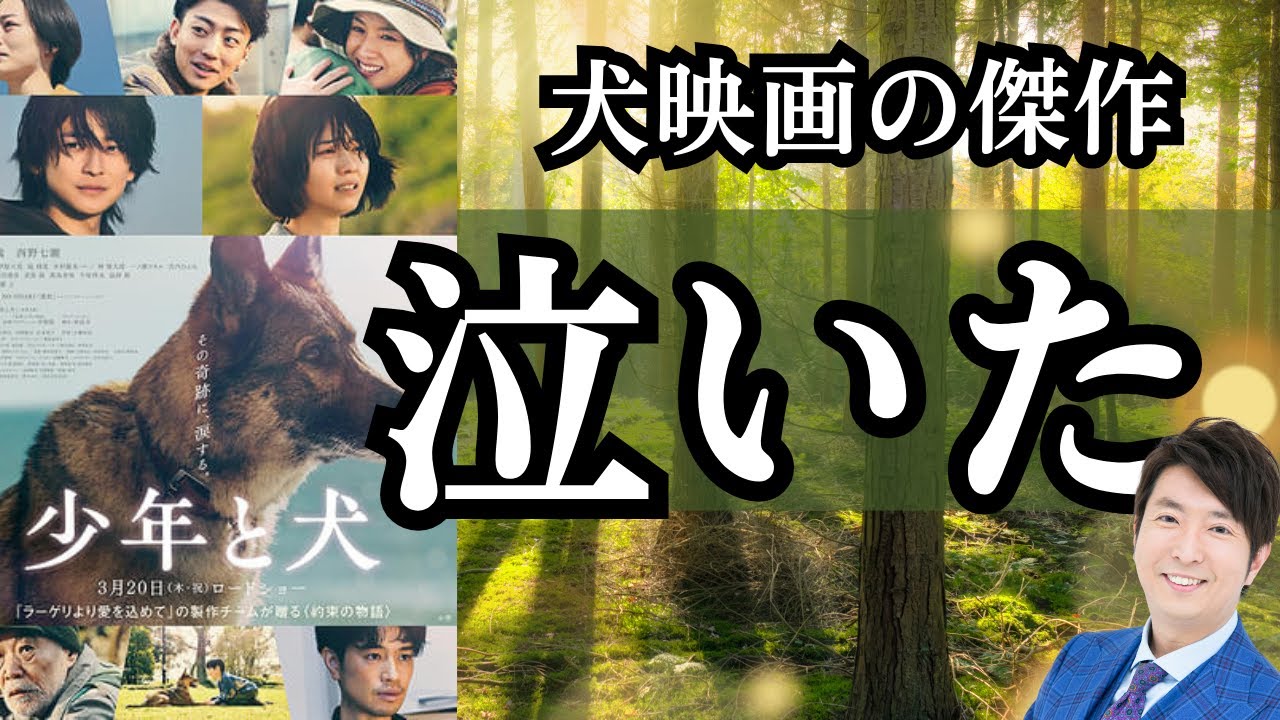 号泣必死「少年と犬」泣ける犬映画の傑作が生まれました。高橋文哉