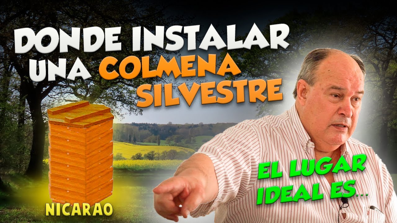 Pt.13| EL MEJOR LUGAR  PARA INSTALAR UNA COLMENA NICARAO - Curso de PermaApicultura OSCAR PERONE