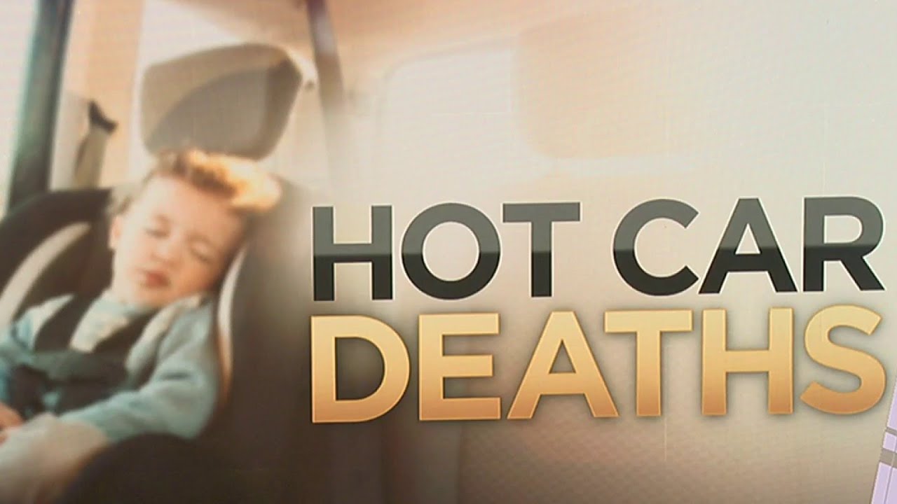 2 children die in hot cars in Florida in 1st week of November - YouTube