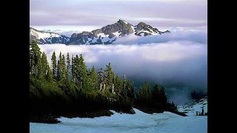 سورة ٱل عمران بصوت القارئ وليد النائحي