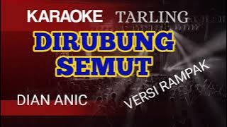 DIRUBUNG SEMUT - DIAN ANIC ( KARAOKE TARLING VERSI RAMPAK NADA CEWEK )