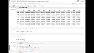 Python - Data Preparation