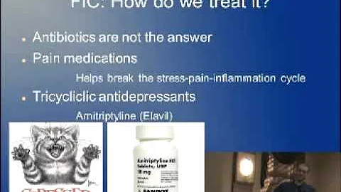 Feline Idiopathic Cystitis Dr. Jon Souders Part III.