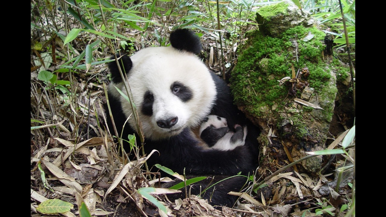 ✨ VILKET ÅR FÖR NATUREN!