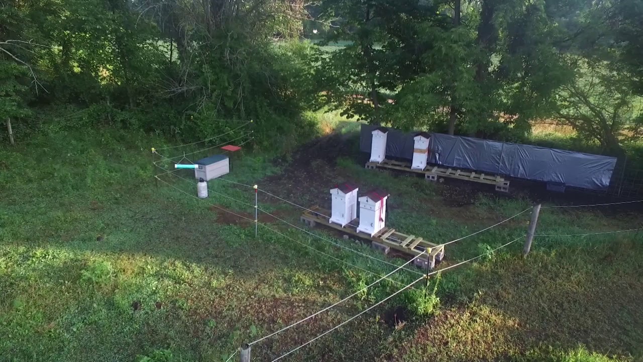 FernValley Honeybees   Aug 5,  2018