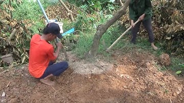 Đánh giá bộ sản phẩm phục vụ đào cây công trình của khách ( dầm + cưa top + thuổng đào cây)