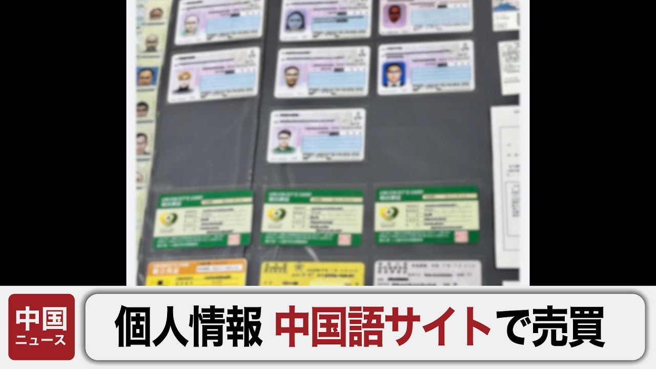 具の中のグぅチャンです YouTube