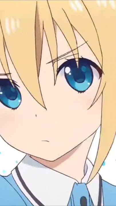 The disgusting secret of Blend-S...