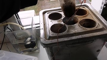 Ардуино, аэропоника, гидропоника