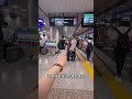 30秒教会你成田机场免费领suica樱花西瓜卡