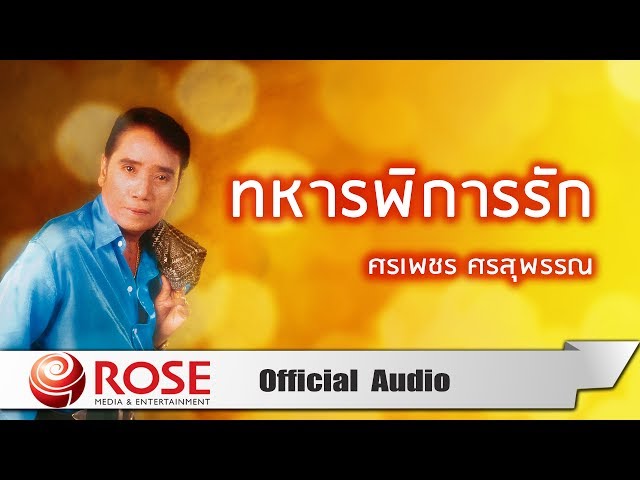 ทหารพิการรัก - ศรเพชร ศรสุพรรณ (Official Audio) class=