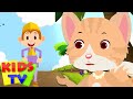 Billi Mausi Billi Mausi | बिली मौसी बिली मौसी | Hindi Nursery Rhymes | Billi Karti Meow | Main Tota