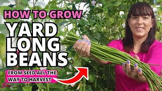 The Ultimate Yard Long Bean Growing Guide - From Seed To Harvest #beans #garden #vegetablegarden
