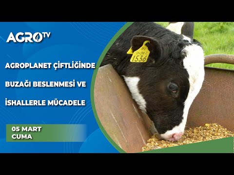 Agroplanet Çiftliğinde Buzağı Beslenmesi ve İshallerle Mücadele / Hayvancılığa Genel Bakış - Agro TV