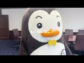 ホゴちゃんの名刺交換