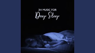 Serene Sleep Notes