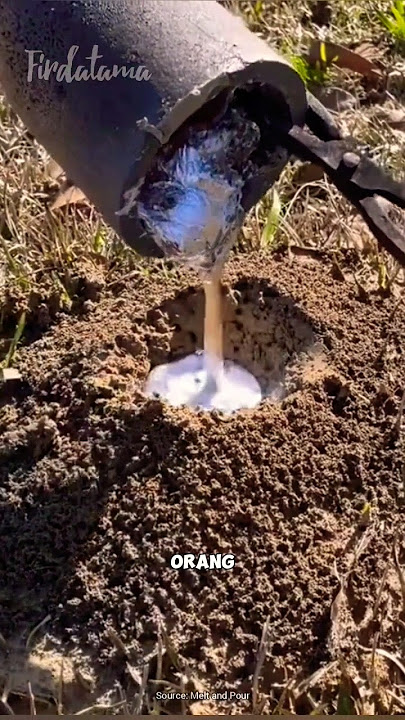 Melihat Wujud Sarang Semut di bawah tanah 🐜