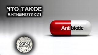 Что такое антибиотики?