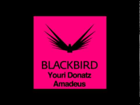 Watch Youri Donatz - Amadeus on YouTube Watch Youri Donatz - Amadeus on YouTube