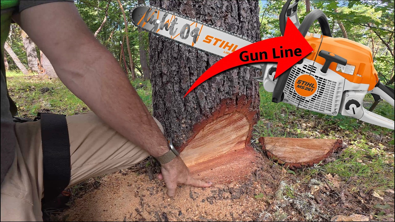 How do you “AIM” a Chainsaw?