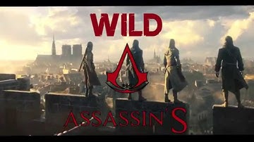WiLD: Assassin