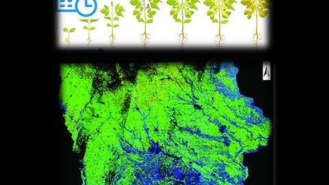 Towards near real-time crop phenology mapping using high temporal and spatial resolution imagery