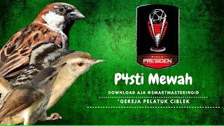 pasti mewah isian gereja vs ciblek - pelatuk gacor