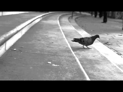 Pigeon Bounce Jump.