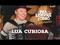 Lua Curiosa - Caninana (Pra Sempre Forró)