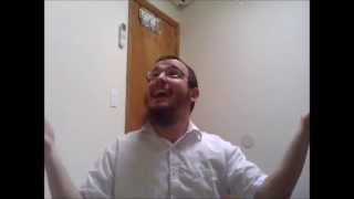 Video thumbnail of "I'm a Bum Bum Bum - Benny Friedman (PARODY)"