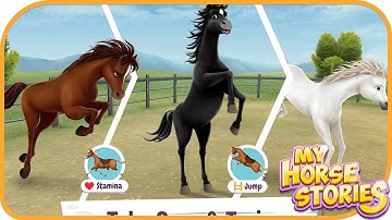 My Horse Stories #8 | Crazy Labs by TabTale | Simulation | Fun Mobile Game | HayDay