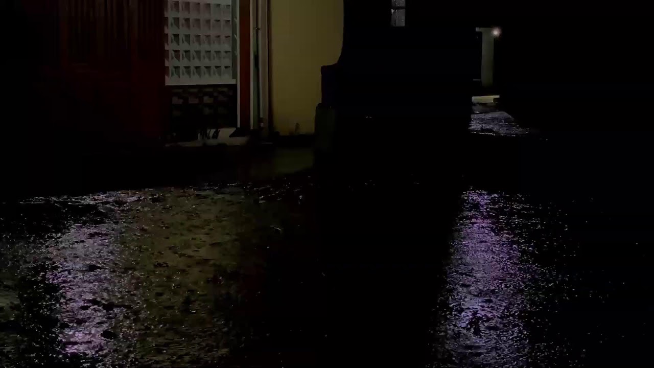 Rainfall at Night │ Relaxing White Noise