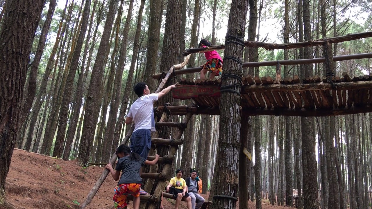 20170622 Aiko Kyoku - Yogyakarta Hutan Pinus Asri 4 - YouTube