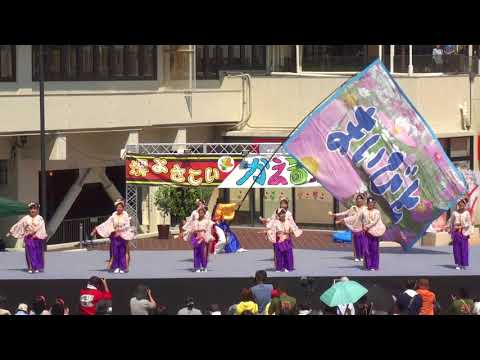 貝塚よさこい舞人2018年6月24日堺よさこいかえる祭りいずみがおか広場