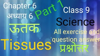 Class 9 Science Chapter 6 Tissues  कक्षा 9 विज्ञान अध्याय  6 ऊतक