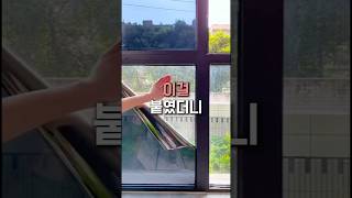 이거 무조건 붙이세요.. #인테리어 #단열필름 #사생활보호 #쿠팡추천