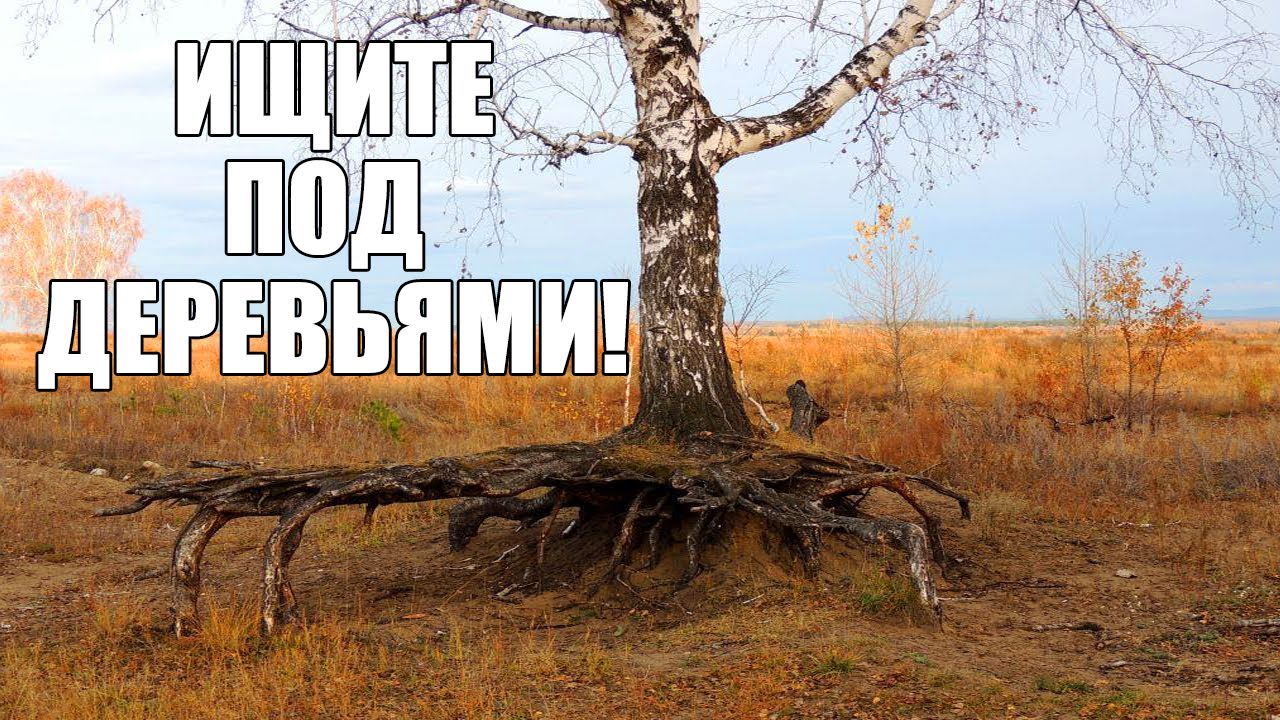 ДАЖЕ НЕ ДУМАЛ, ЧТО НАЙДУ ПОД ДЕРЕВОМ....... / Russian Digger заброшенный дом сон