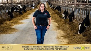 269 | From Data to Decisions: How Hornstead Dairy Improved Health, Repro and Performance