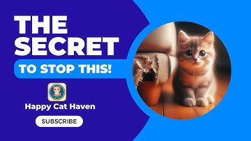 3 Simple Hacks to Stop Cats Scratching Furniture (Instantly!) ।। Happy Cat Haven
